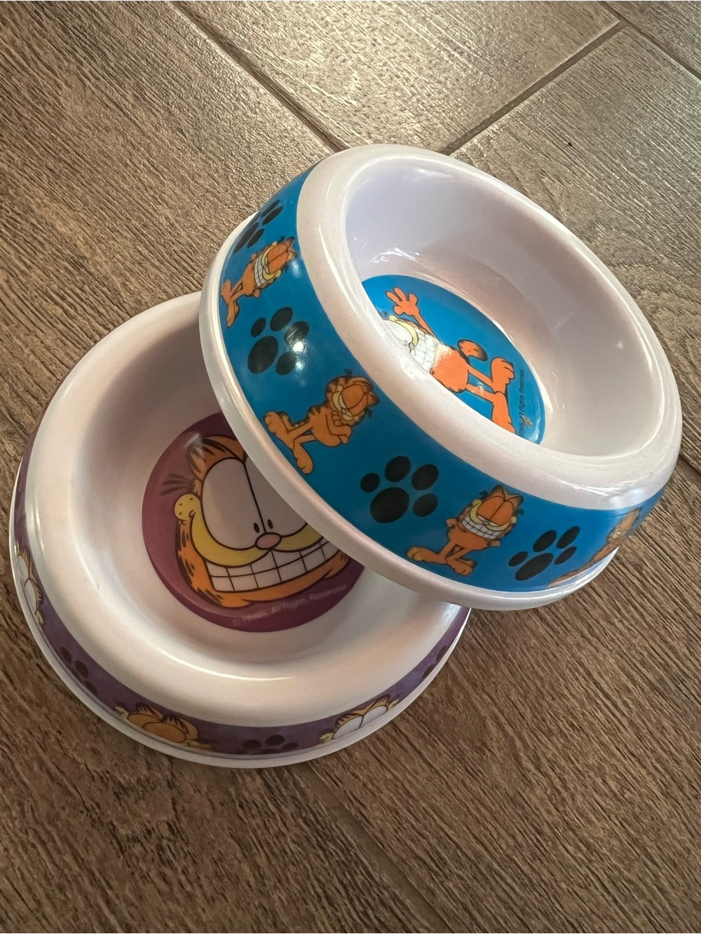 Garfield Cat Pet Bowls Set of 2 Blue Purple PAWS Food Water Dishes 5 Inch